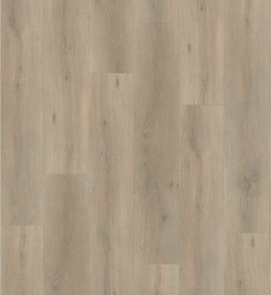 product-image-237